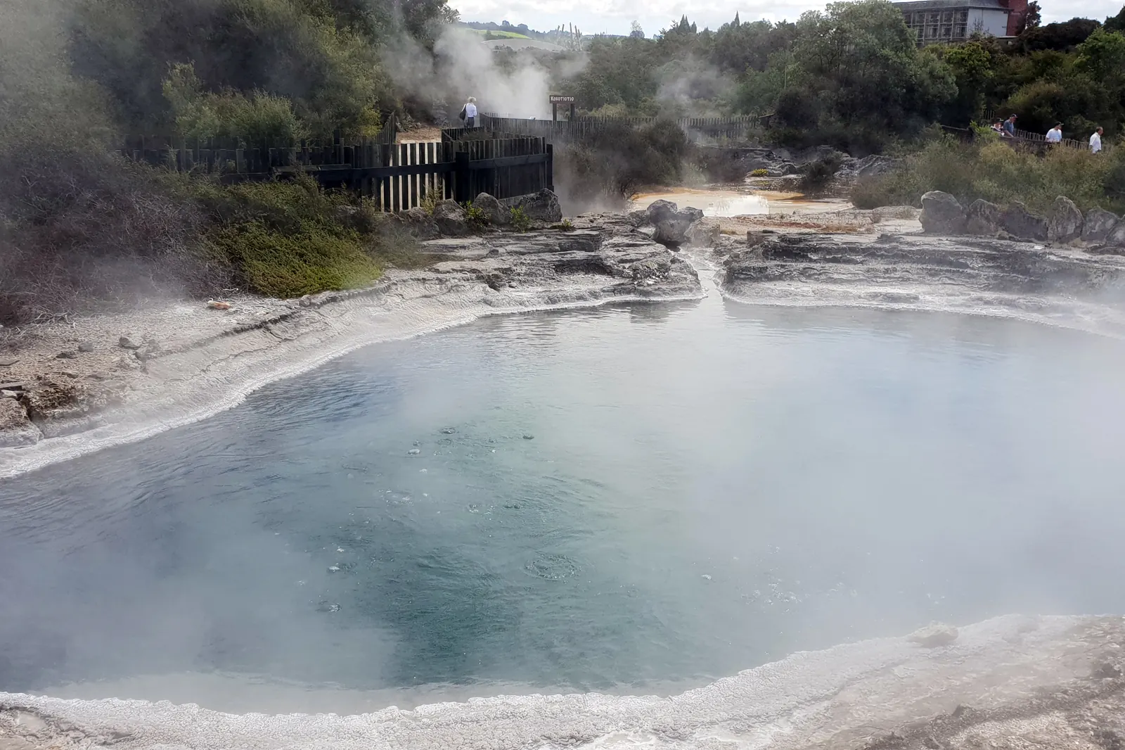 En blågrøn pool kantet med hvid silica damper foran en træstibro og buskads ved Whakarewarewa